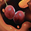 Fruit & Nuts